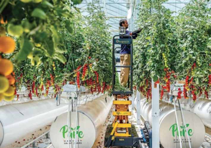 foto noticia Las granjas inteligentes de Pure Harvest prosperan con ABB Ability Energy Manager.